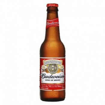 CERVEJA BUDWEISER LONG NECK 330ML
