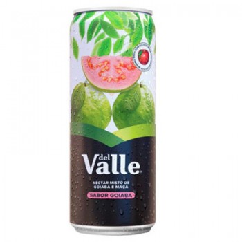 SUCO DEL VALLE GOIABA 290ML
