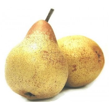 PERA PORTUGUESA KG