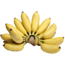 BANANA OURO KG