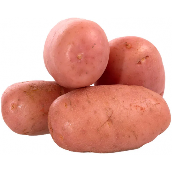 BATATA ASTERIX  KG