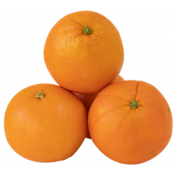 LARANJA BAHIA KG