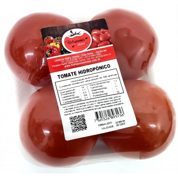 TOMATE HIDROPONICO KG