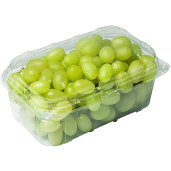 UVA VERDE THOMPSON SEM SEMENTE 500G
