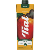 SUCO TIAL CAJU TP 1L