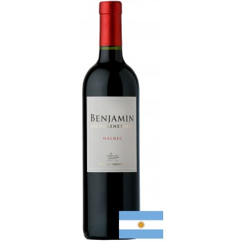 VINHO ARGENTINO BENJAMIN NIETO MALBEC 750 ML