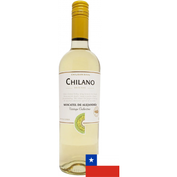 VINHO CHILENO CHILANO MOSCATO 750ML