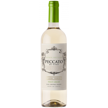 VINHO CHILENO PECCATO DI VINO PINOT GRIGIO 750 ML