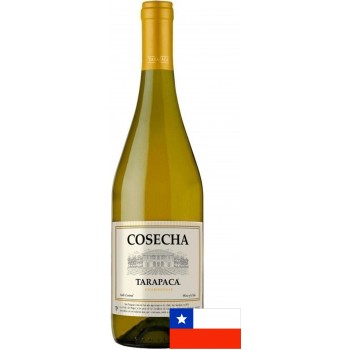 VINHO CHILENO TARAPACA COSECHA CHARDONNAY 750ML