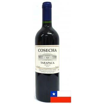 VINHO CHILENO TARAPACA COSECHA MERLOT 750ML