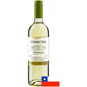 VINHO CHILENO TARAPACA COSECHA SAUV BLANC 750ML
